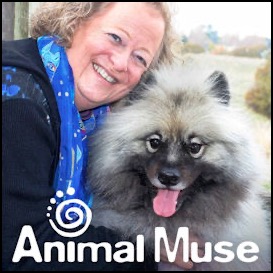 Cathy Malkin Animal Communicator Directory